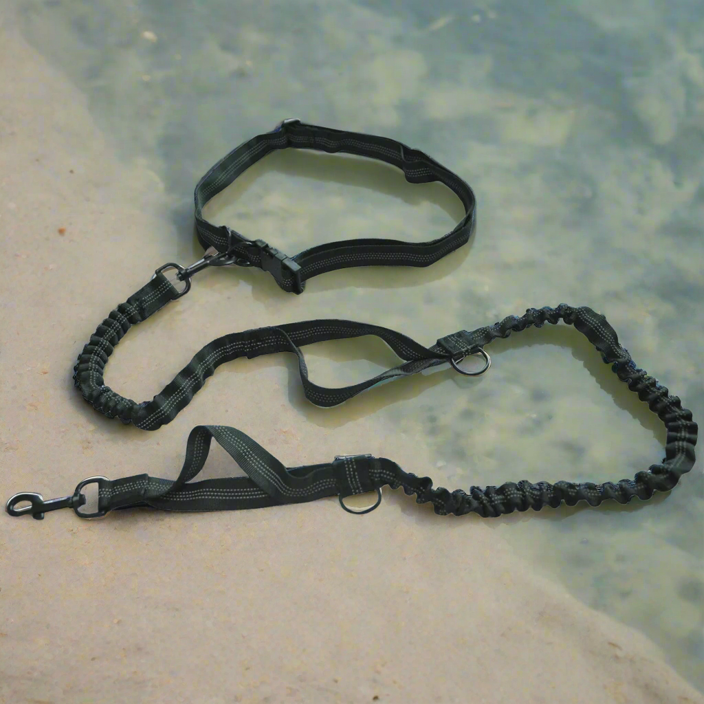 Laisse pour Chien Footing™ - Chiendomicile