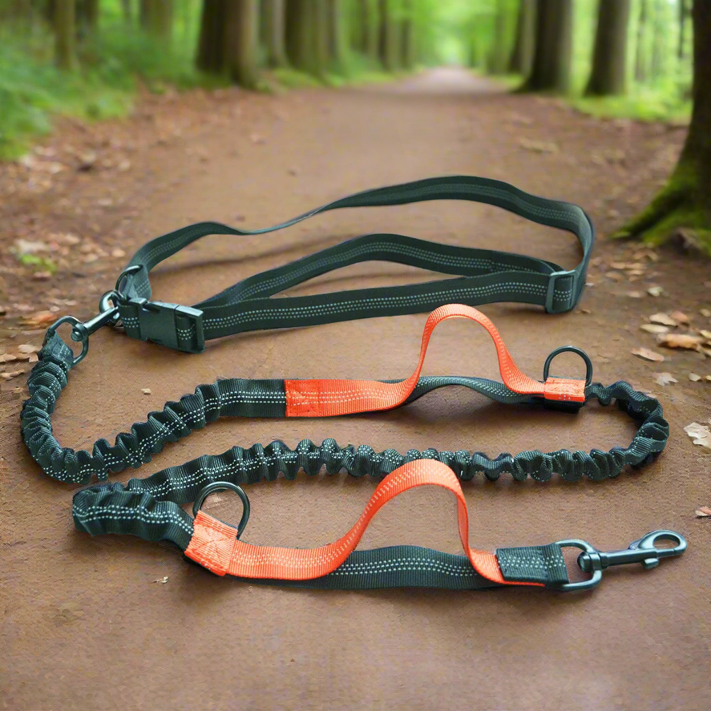 Laisse pour Chien Footing™ - Chiendomicile