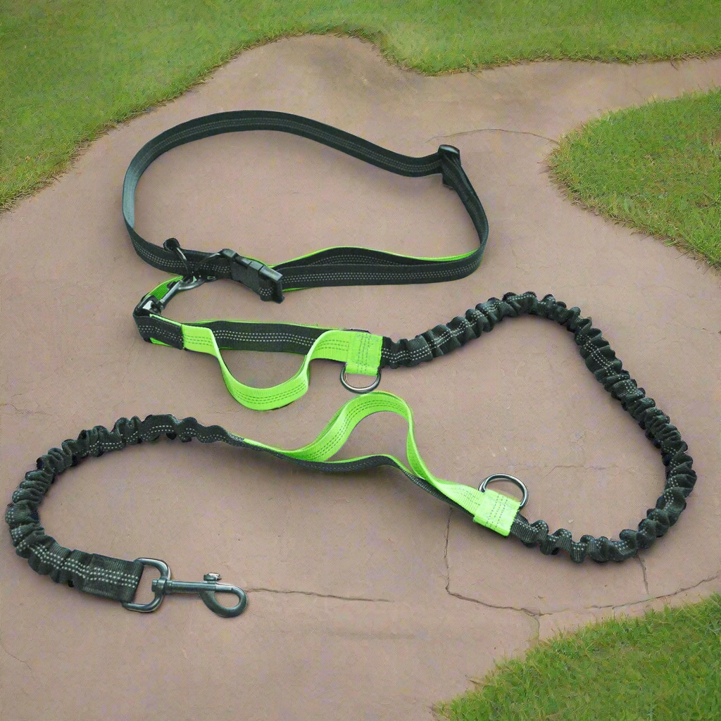 Laisse pour Chien Footing™ - Chiendomicile