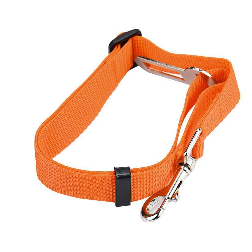 BeltPet™ - Ceinture de siège pour animal de compagnie - Chiendomicile