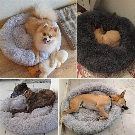 DoggyPouf™- Coussin doux pour chien - Chiendomicile